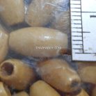 ลูกปัดไม้ รี ขนาด 4×15 mm  บรรจุ 10 กรัม สีครีม รูป 3