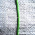 เชือกร่มมีไส้ แพ็ค ขนาด 4 mm  บรรจุ 1 เมตร สีเขียวตอง