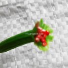 เชือกร่มมีไส้ แพ็ค ขนาด 4 mm  บรรจุ 1 เมตร สีเขียวตอง รูป 2