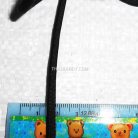 เชือกร่มมีไส้ แพ็ค ขนาด 4 mm  บรรจุ 1 เมตร สีดำ รูป 3