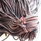 เชือกร่มมีไส้ แพ็ค ขนาด 3 mm  บรรจุ 1 เมตร สีดำ รูป 3