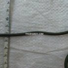 เชือกร่มมีไส้ แพ็ค ขนาด 3 mm  บรรจุ 1000 กรัม สีขี้ม้า รูป 2